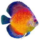 peziris a