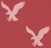 american eagle