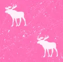 A&F pink logo