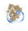 beach sand