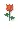 Mini Rose