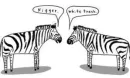 Zebra