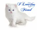 I Love You Friend