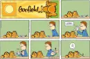 Garfield the cat