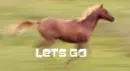 lets go