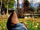 country collage
