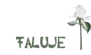 Faluje