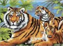 TIGERS