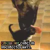 friendship