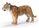 TIGER RIGHT