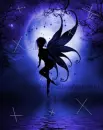 Indigo Fairy
