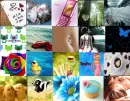 Tasha collage