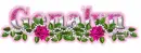 Pink roses Genalyn