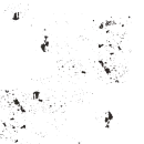 black spot