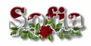 Red rose Sofia