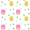 cute owl