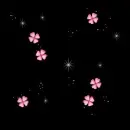 floating flowers