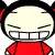  pucca 