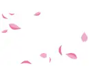 pink petals