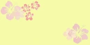 hawaii flower