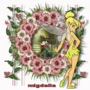 migdalia