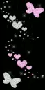 butterflies