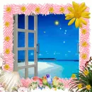 window