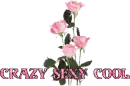 Crazy Sexy Cool