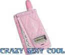 Crazy Sexy Cool