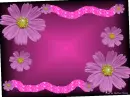 Flower power