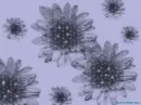 Dark Flower in light purple background