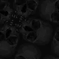 Skulls