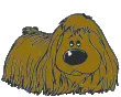  small happy dog