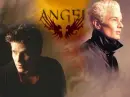 Angel and Spike