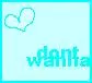 Don't Wanna