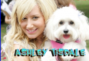 ashley tisdale