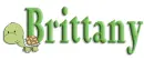 turtle brittany