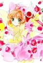 Sakura card captors