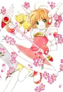 Sakura card captors