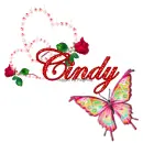 Butterfly name