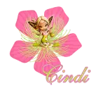 Cindi