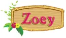 banner zoey