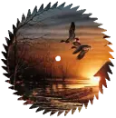 saw blade with picture