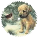 saw blade with picture