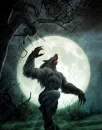 werewolf_dhffu