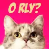 O RLY