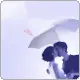 LOVELY COUPLE