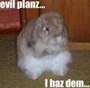 Evil Bunny
