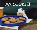 my cookie!