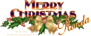 Christmas Tag